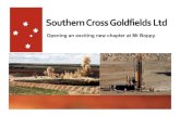 Frank Terranova - Southern Cross Goldfields - An Update on Southern Cross Goldfields