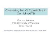 Presentacion en Software Week, CERN, Clustering for vle particles in cbt