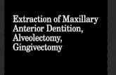 Extraction of maxillary anterior dentition, alveolectomy, gingivectomy
