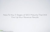 Stages of SEO Maturity That Will Fire Up Your Revenue Results