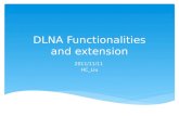 About DLNA solution