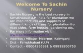 Nursery for plantation decorative plants, flower plants in india sachin nursery