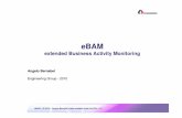ESE 2010 - eBAM - extended Business Activity Monitoring