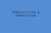 Translation transcription