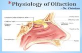 Physiology of olfaction
