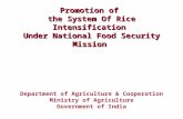 0712 Promotion of the System of Rice Intensification Under National Food Security Mission