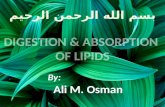 Digestion & absorption of lipids