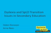 Dyslexia Guild Conference 2013 - Secondary Teaching Seminar