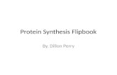Protein synthesisflipbook dillon perry