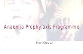 Anaemia Prophylaxis Programme