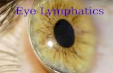 Eye lymphatics