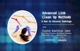 SEOReseller Advanced Link Cleanup