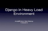 Django in heavy load environment
