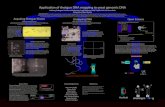 BPS 2010 Poster Presentation: Shotgun DNA Mapping with Yeast