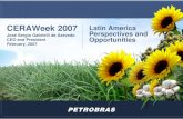 "Latin America Perspectives and Opportunities"