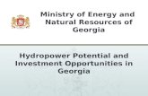 Changes in Georgian Energy Sector