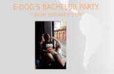 E Dog’s Bachelor party