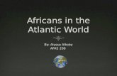 Africans in the atlantic world