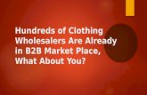 Hundreds of clothing wholesalers are already in b2b