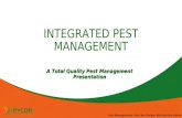 Pest Control Management: Roaches, Rodents and Flies