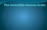 The invincible human brain