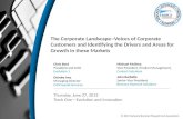 The Corporate Landscape-- Voices of Corporate Customers and Identifying the Driver and Areas of Growth in These Markets