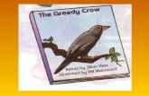 The greedy Mr.Crow