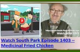 Watch South Park Episode 1403 – Medicinal Fried Chicken