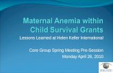 Maternal Anemia within Child Survival Grants: Lessons Learned at Helen Keller International