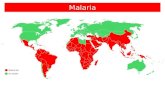 OCR AS Biology malaria