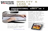Professional audit in 7 steps