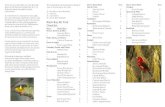 NostalgicOutdoors™- Voyageurs National Park- Black Bay Ski Trail & Birds Brochure