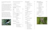 NostalgicOutdoors™- Voyageurs National Park- Lost Bay Portage Bird Brochure