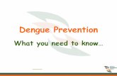 Guidelines about dengue