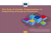 Role of Cluster Organisations in Emerging Industries