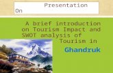 Ghandruk SWOT analysis