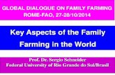 S.schneider   presentation global dialogue on ff - copia