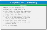 Chapter 6: Active Learning PowerPoints