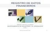 REGISTRO DE DATOS FINANCIEROS - ("JOB" 2)