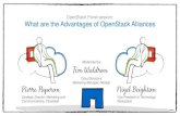 Open Stack Panel Session: What are the advantages of openstack alliances.