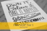oGIP Tier 1 - Flow