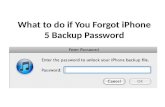 What to Do If You Forgot iPhone 5 Backup Password