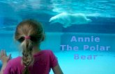 Annie the polar bear