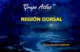 Region dorsal