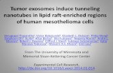 Tumor exosomes induce tunneling nanotubes in lipid-enriched regions of human mesothelioma cells.