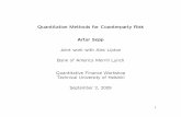 Quantitative Methods for Counterparty Risk