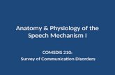 Csd 210 anatomy & physiology of the speech mechanism i