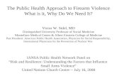 The Public Health Approach to Firearm Violence "What is it, Why Do We Need It?The Public Health Approach to Firearm ViolenceWhat is it, Why Do We Need It?