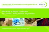 Efficiency of biogas production - Jan Liebetrau