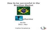 How to be succesfull in the Brazilian Market